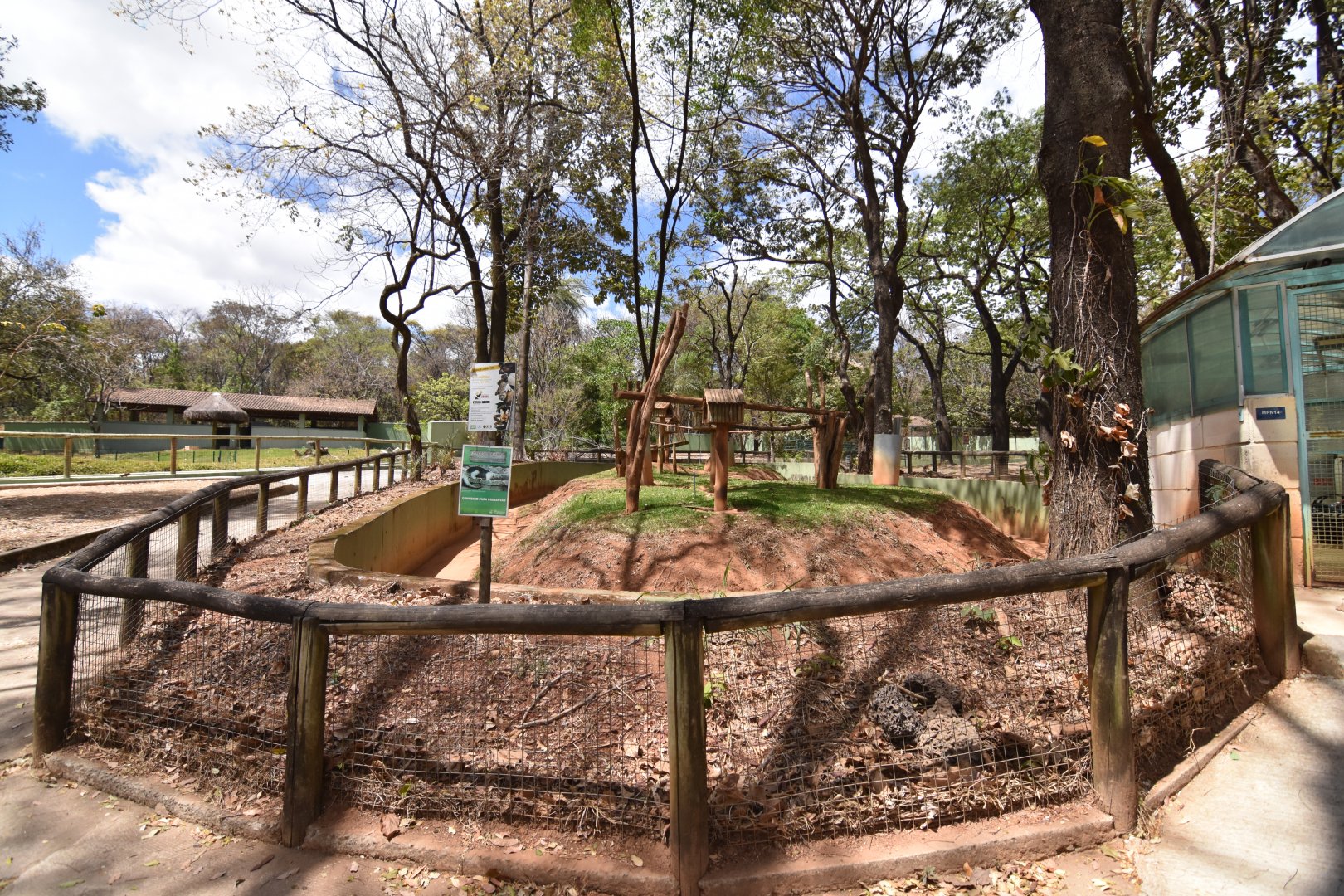 South-american mammals area