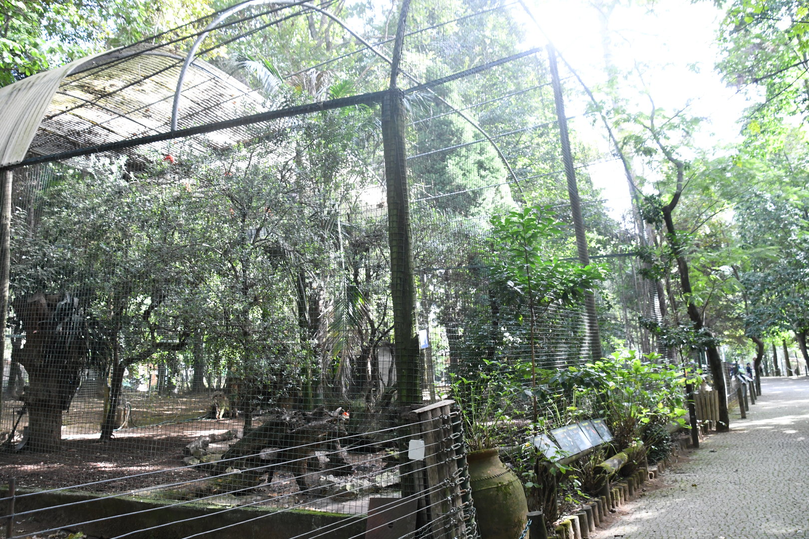 South American Mixed Aviary (Zoo Lourosa)