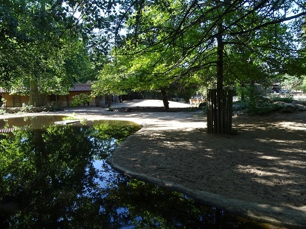 South-American mixed enclosure (07/22)