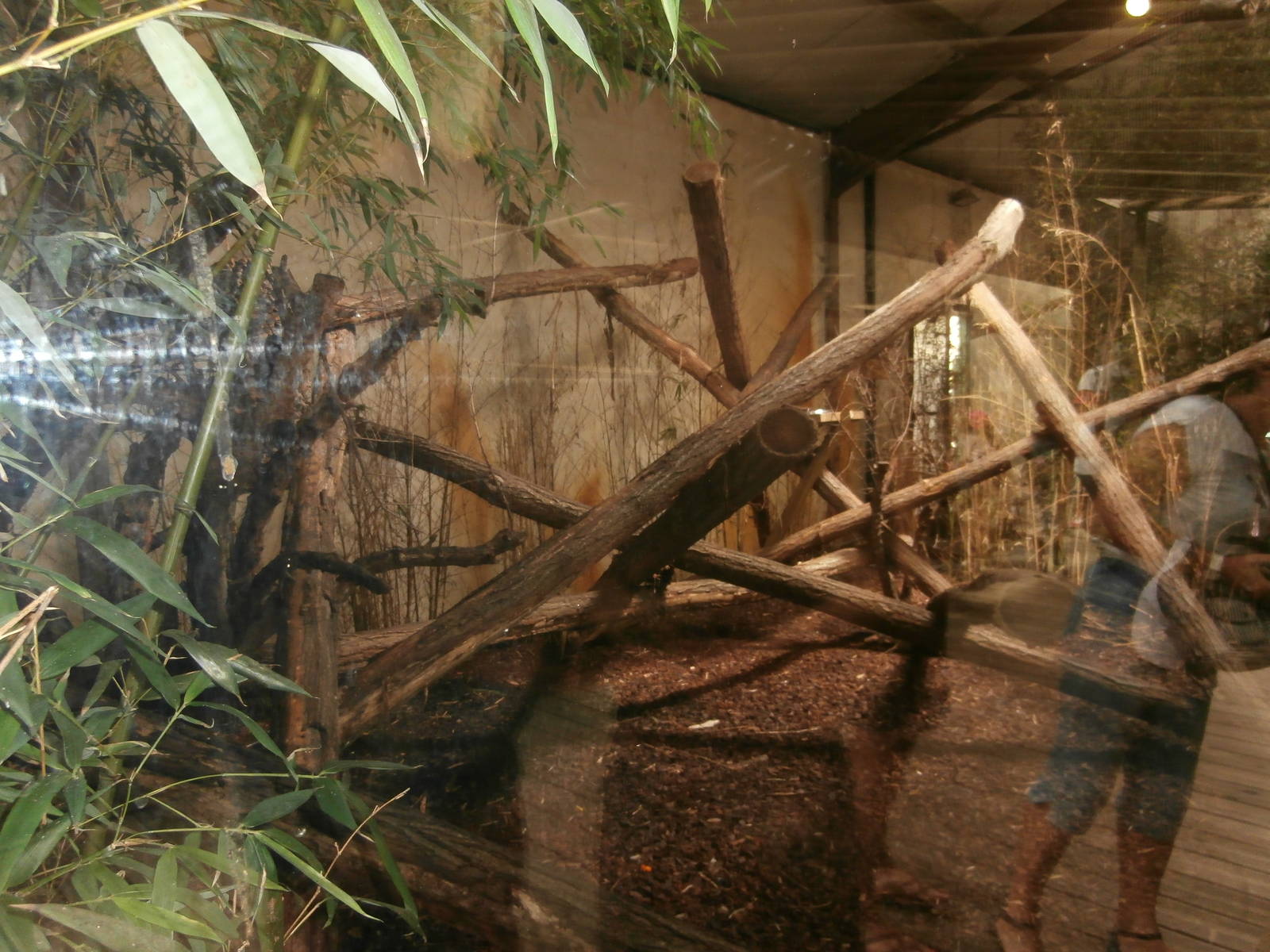 South American mixed enclosure