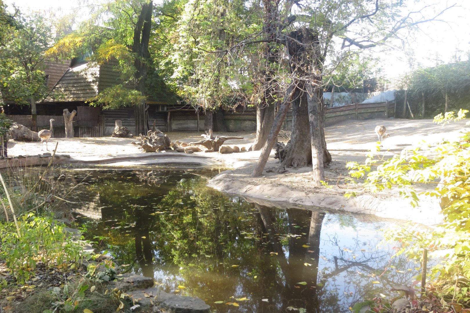 South American mixed exhibit 171018