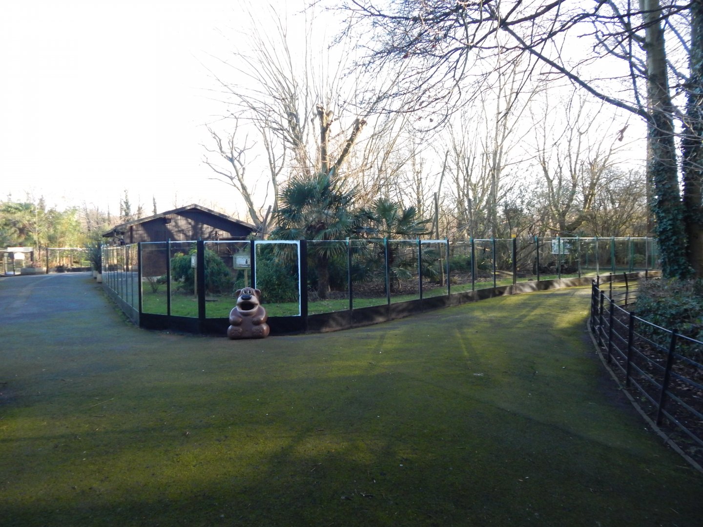 South American mixed exhibit 260124