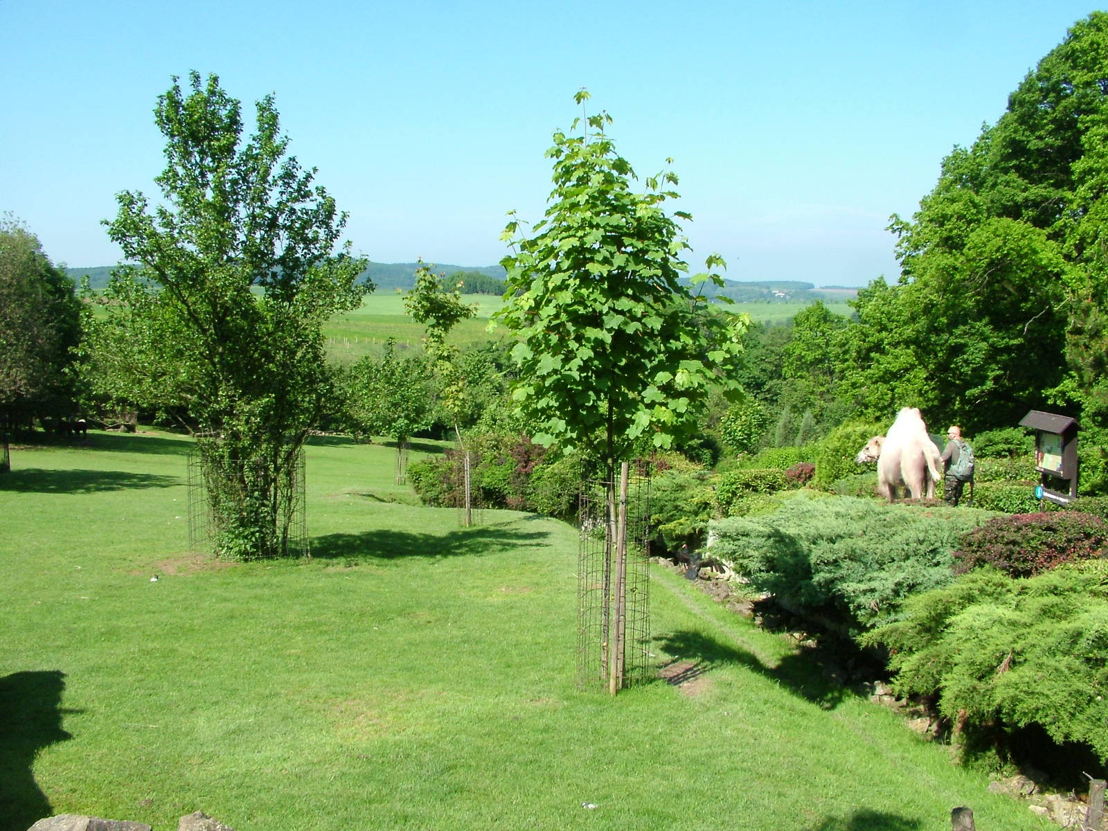South American mixed exhibit at Zlin, 28/05/10