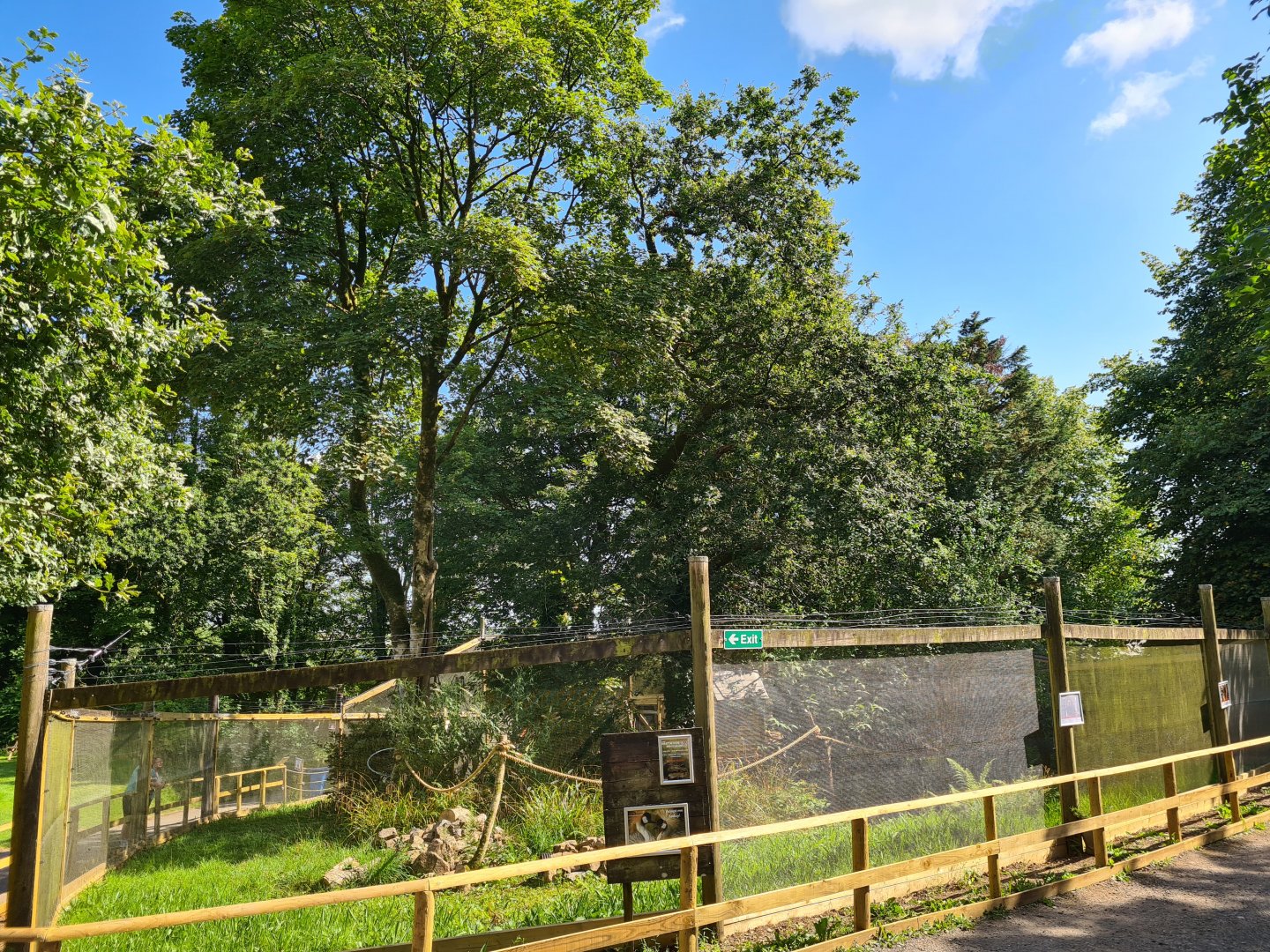 South American mixed exhibit - Dartmoor Zoo