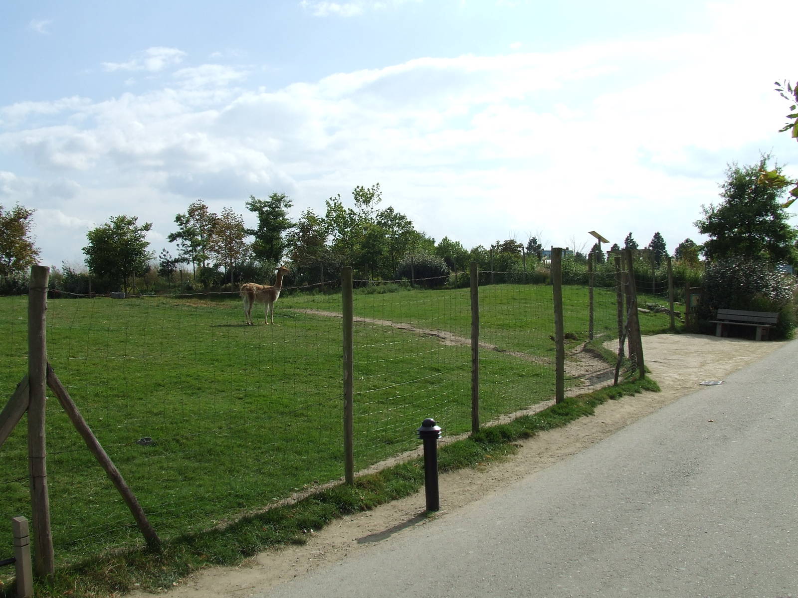 South American mixed exhibit