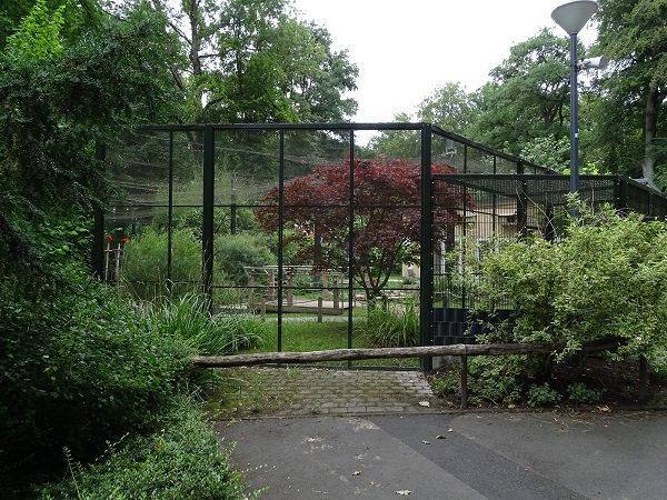 South American mixed species aviary (07/22)