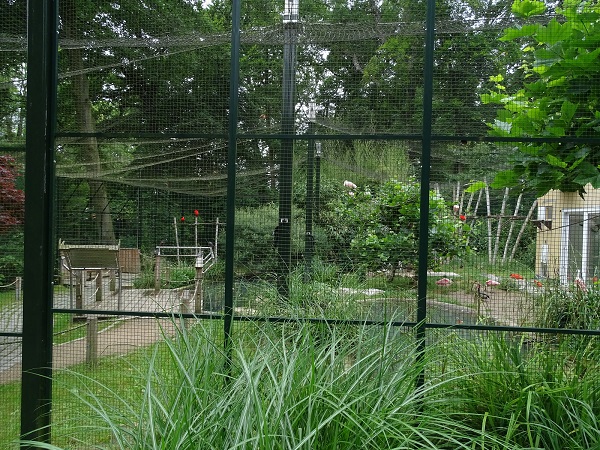 South American mixed species aviary (07/22)