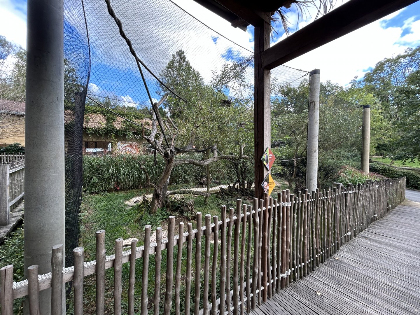 South American Mixed-species Aviary