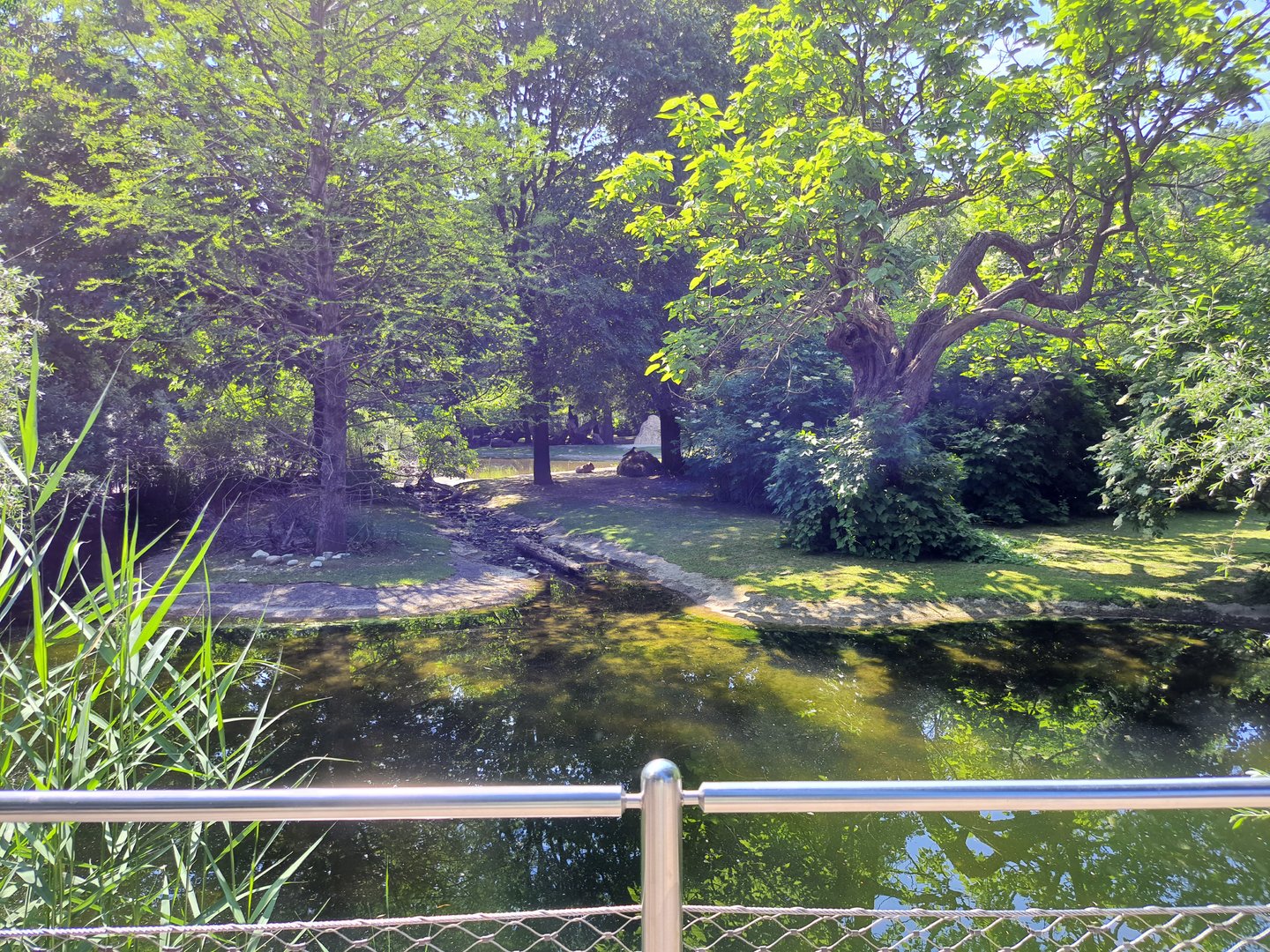 South American Mixed Species enclosure- Tiergarten Schönbrunn