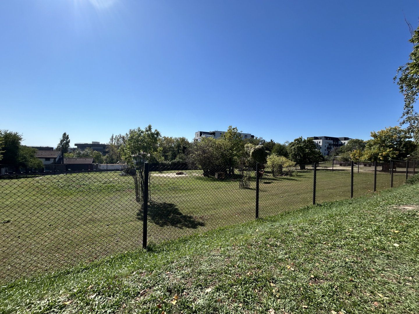 South American Mixed-species Exhibit #1