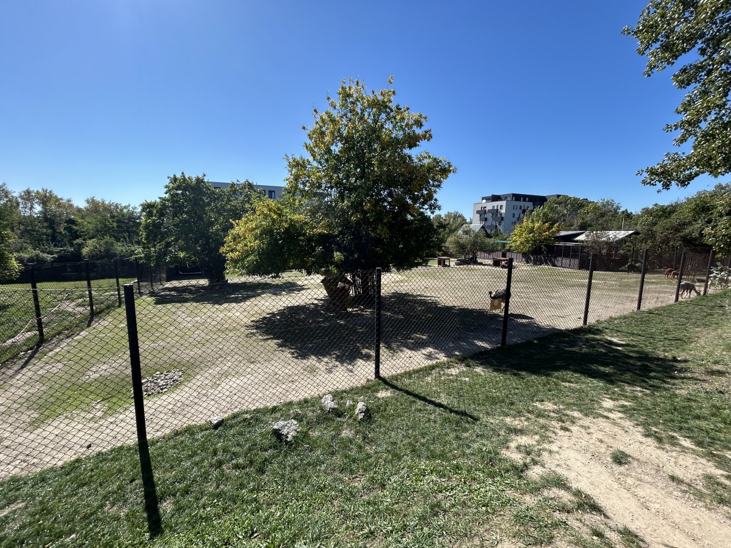 South American Mixed-species Exhibit #2