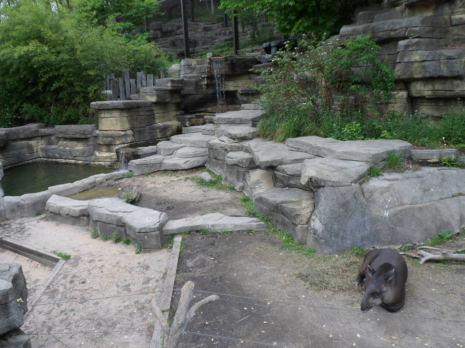 South American Mixed Species Exhibit