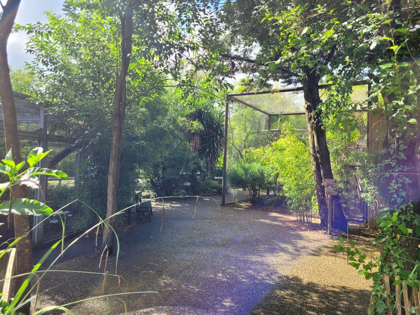 South American monkey area -Zoo du bassin d'Arcachon (2024)