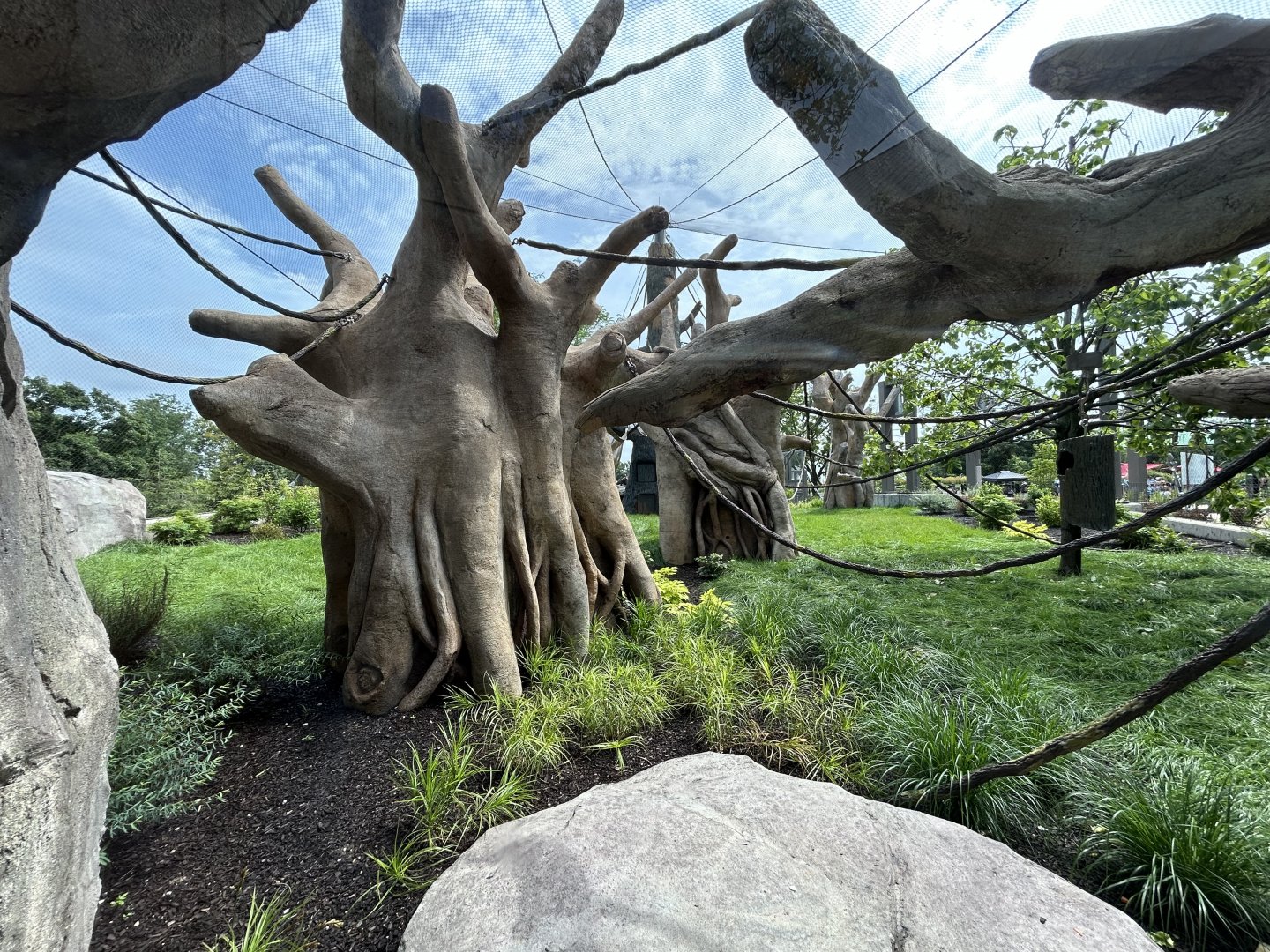South American Monkey Exhibit - Tropical Forests