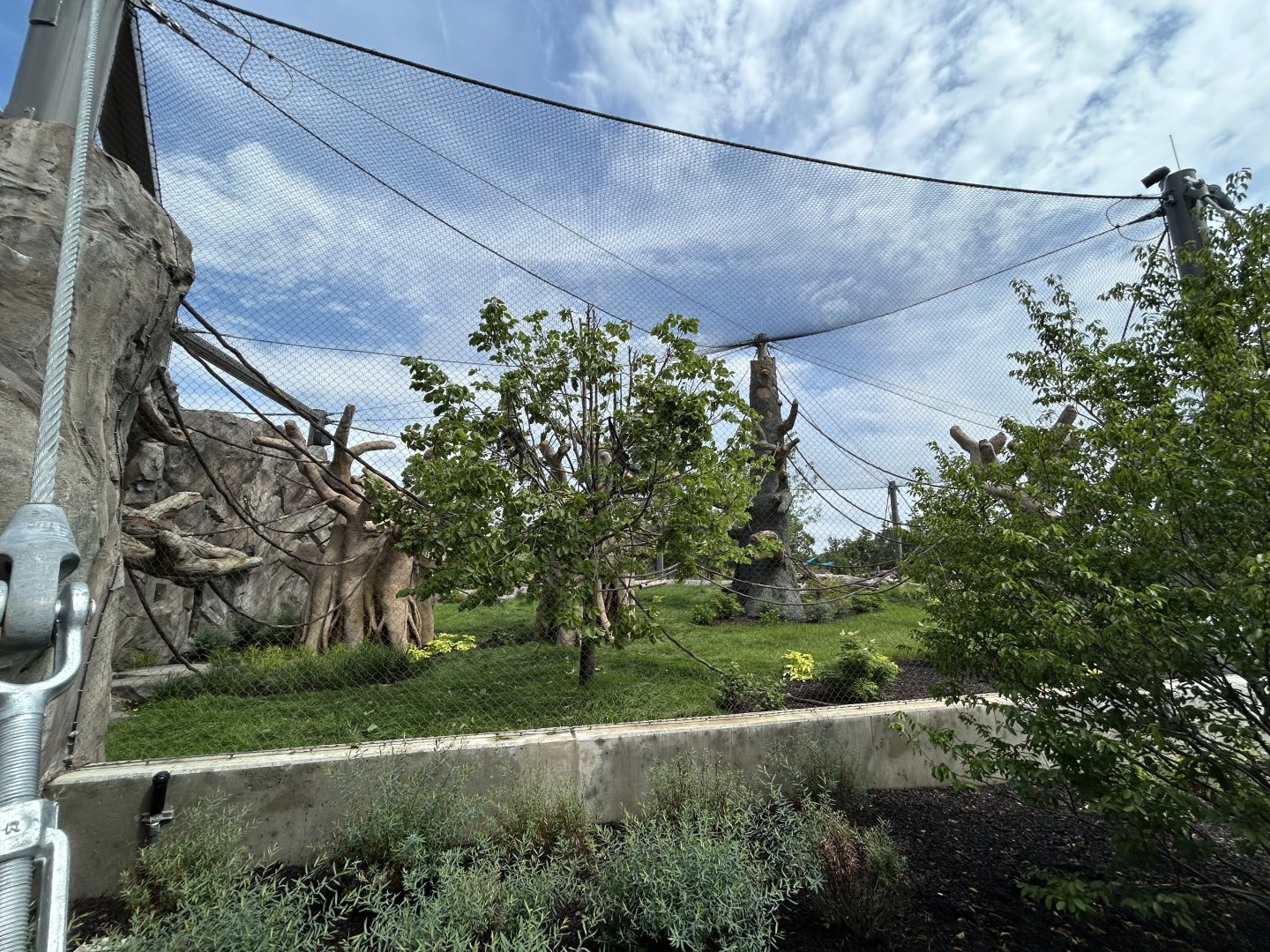 South American Monkey Exhibit - Tropical Forests