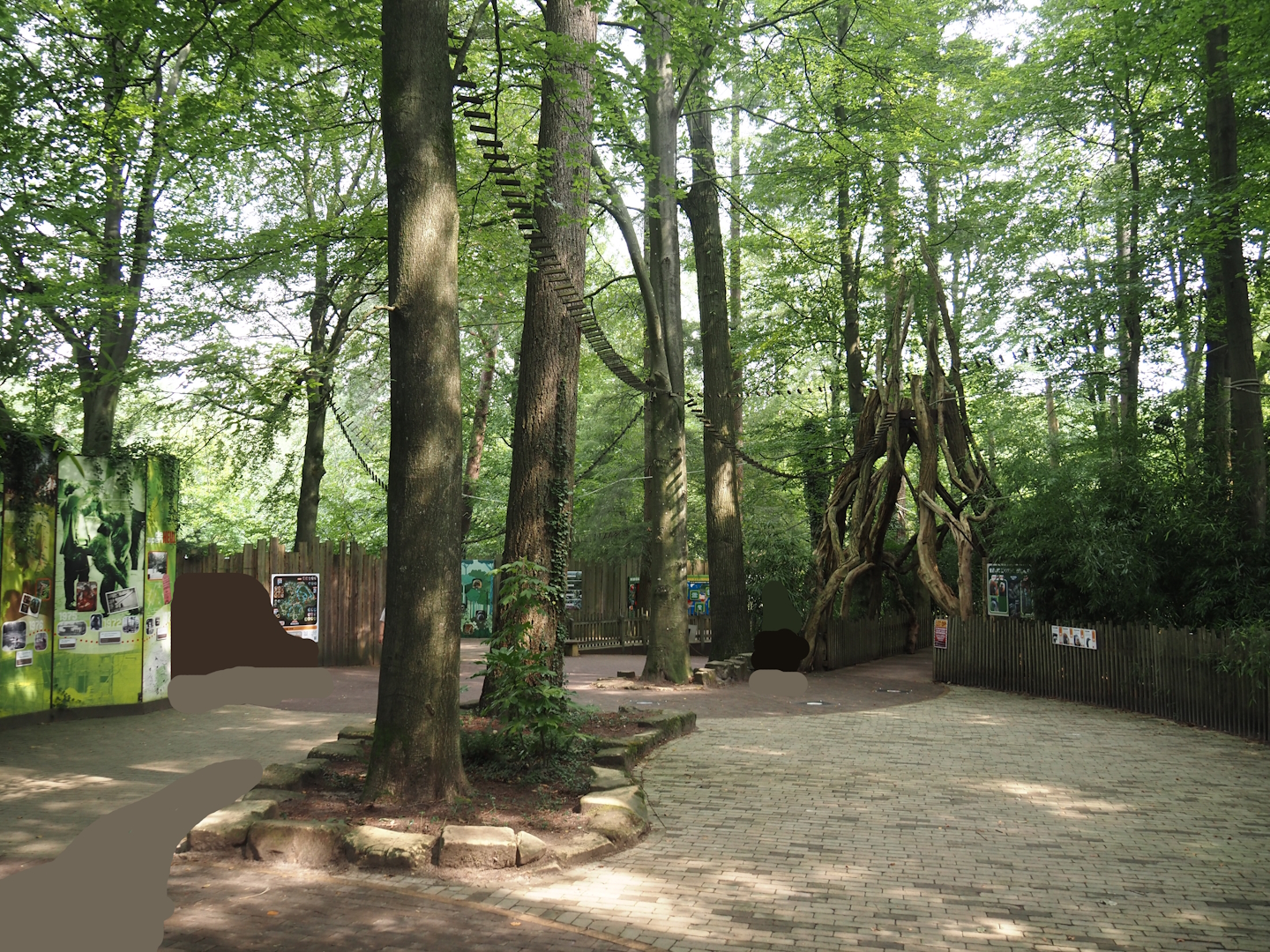 South American monkey walk-through area, 2024-08-18