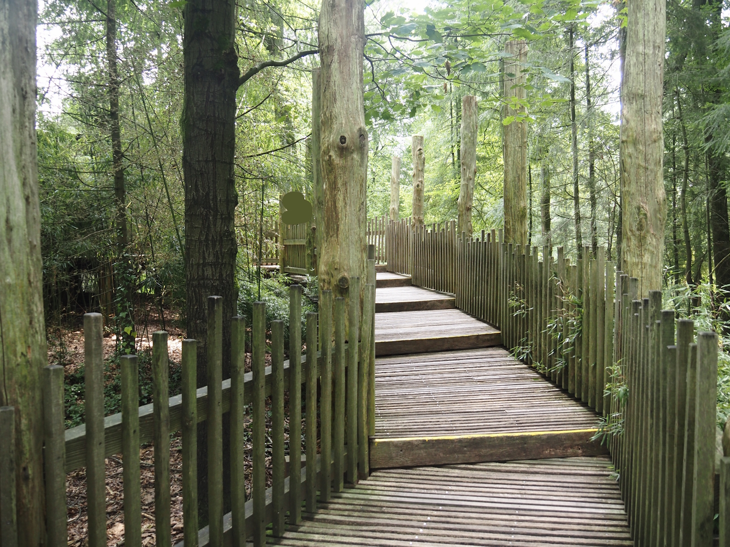 South American monkey walk-through area - Descending part of the monkey tree-top path, 2024-08-18