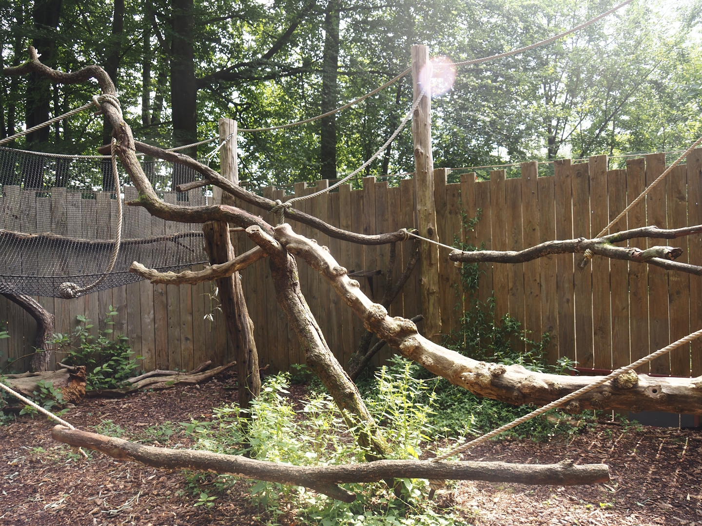 South American monkey walk-through area - Monkey area next to the monkey tree-top path, 2024-08-18