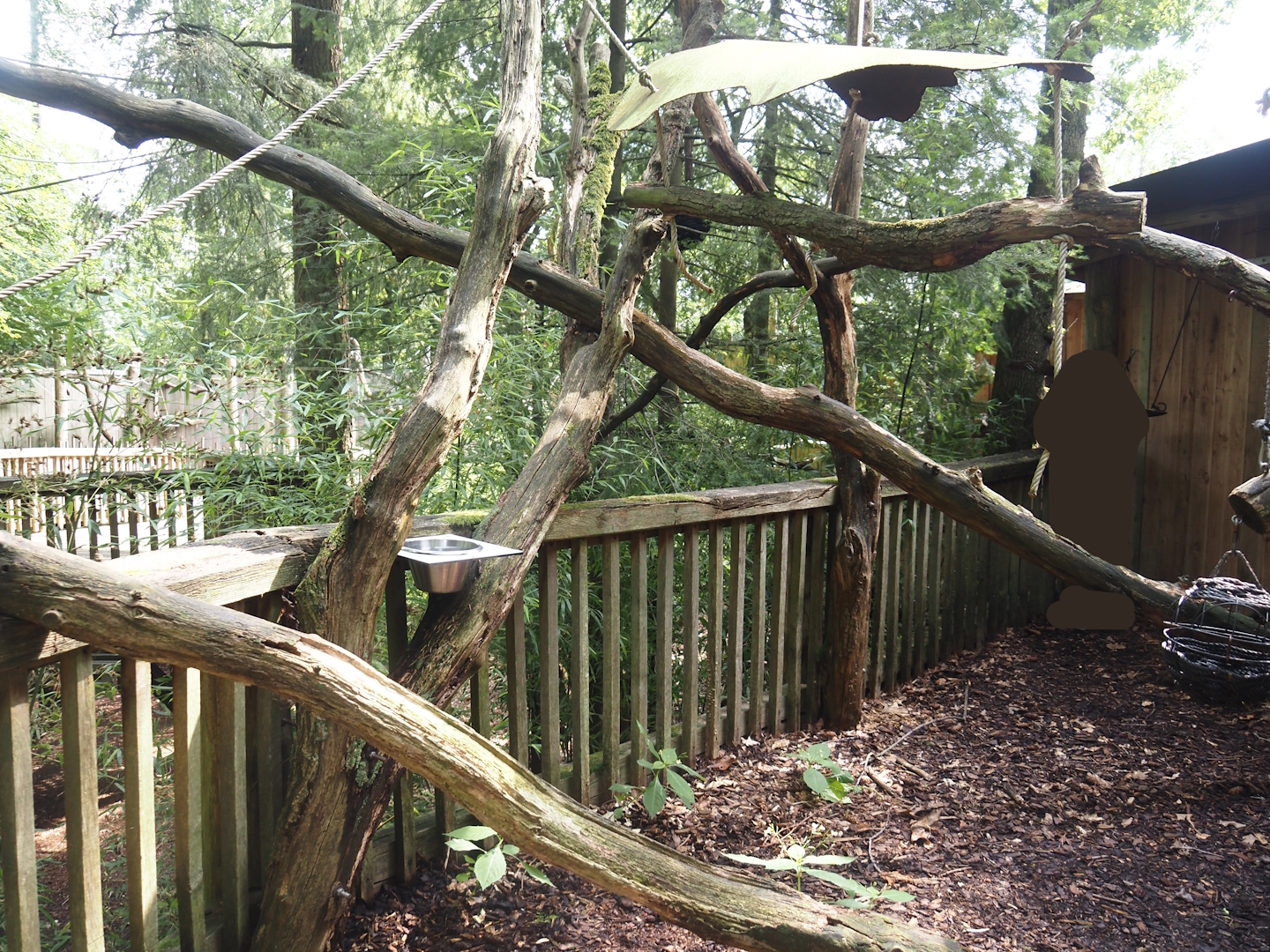 South American monkey walk-through area - Monkey area next to the monkey tree-top path and the nocturnal house, 2024-08-18