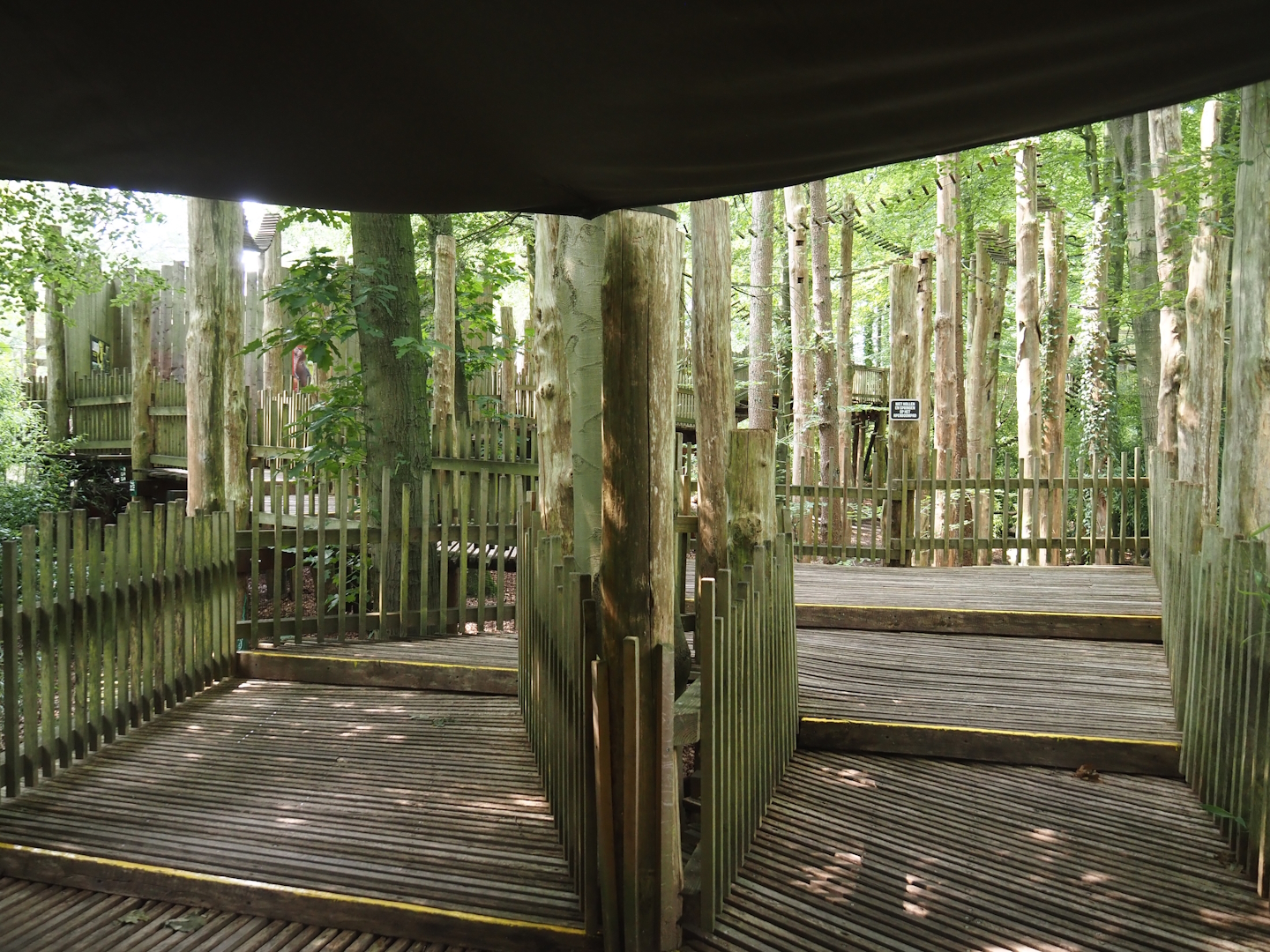 South American monkey walk-through area - Monkey tree-top path, 2024-08-18