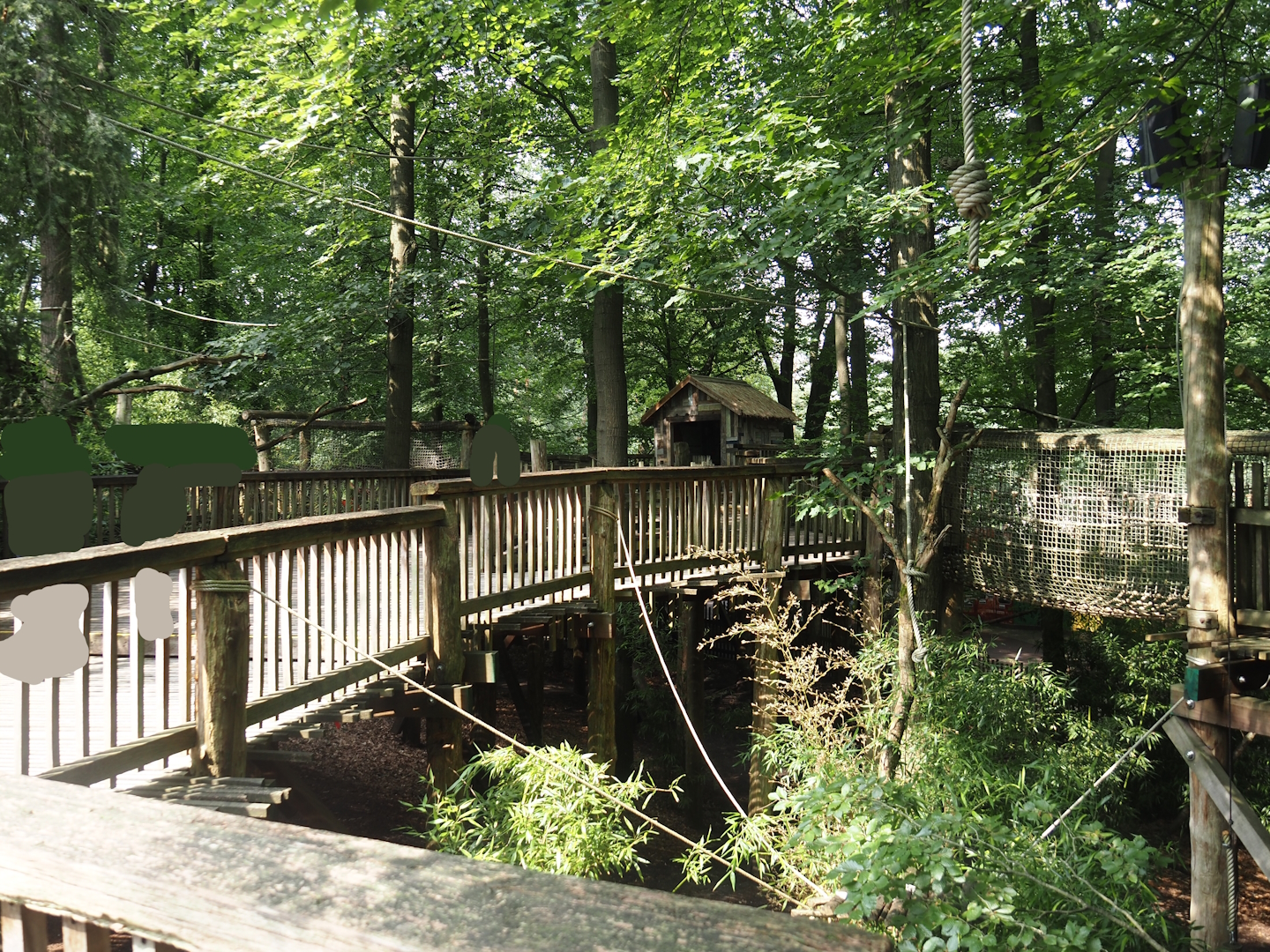 South American monkey walk-through area - Monkey tree-top path, 2024-08-18