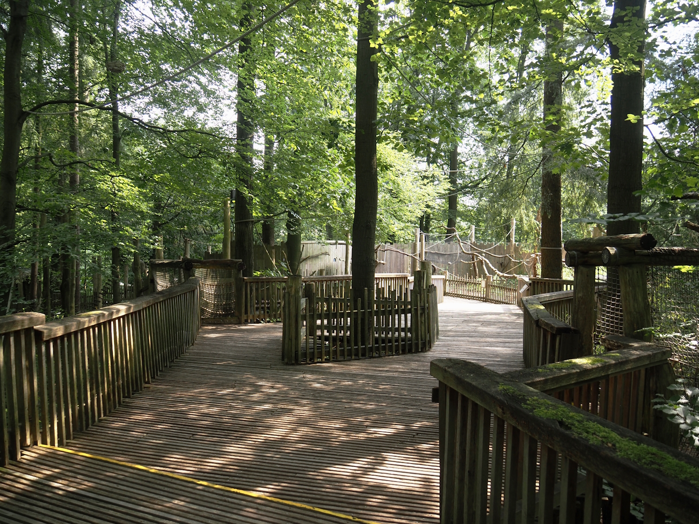 South American monkey walk-through area - Monkey tree-top path, 2024-08-18