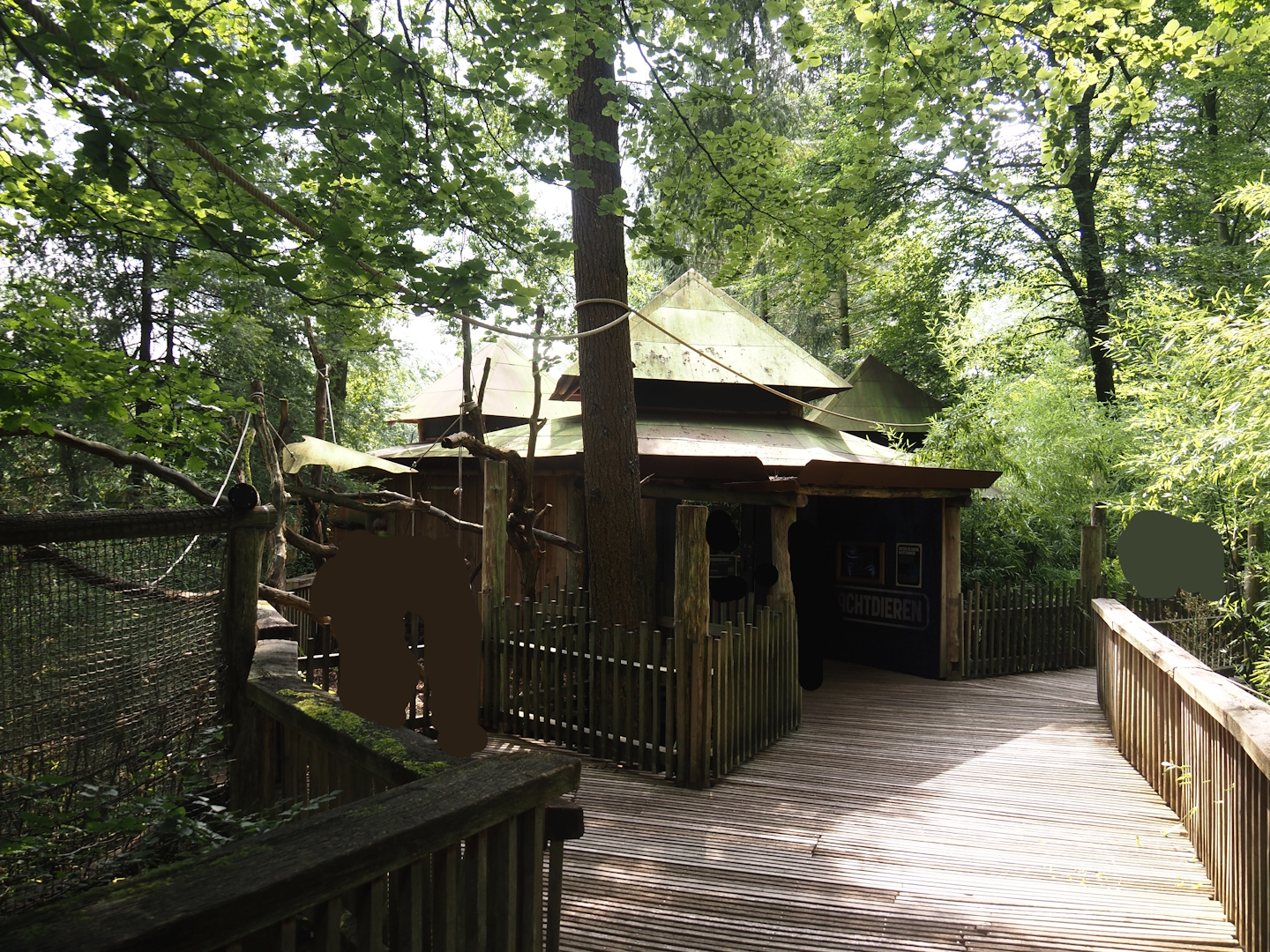 South American monkey walk-through area - Nocturnal house on the monkey tree-top path, 2024-08-18