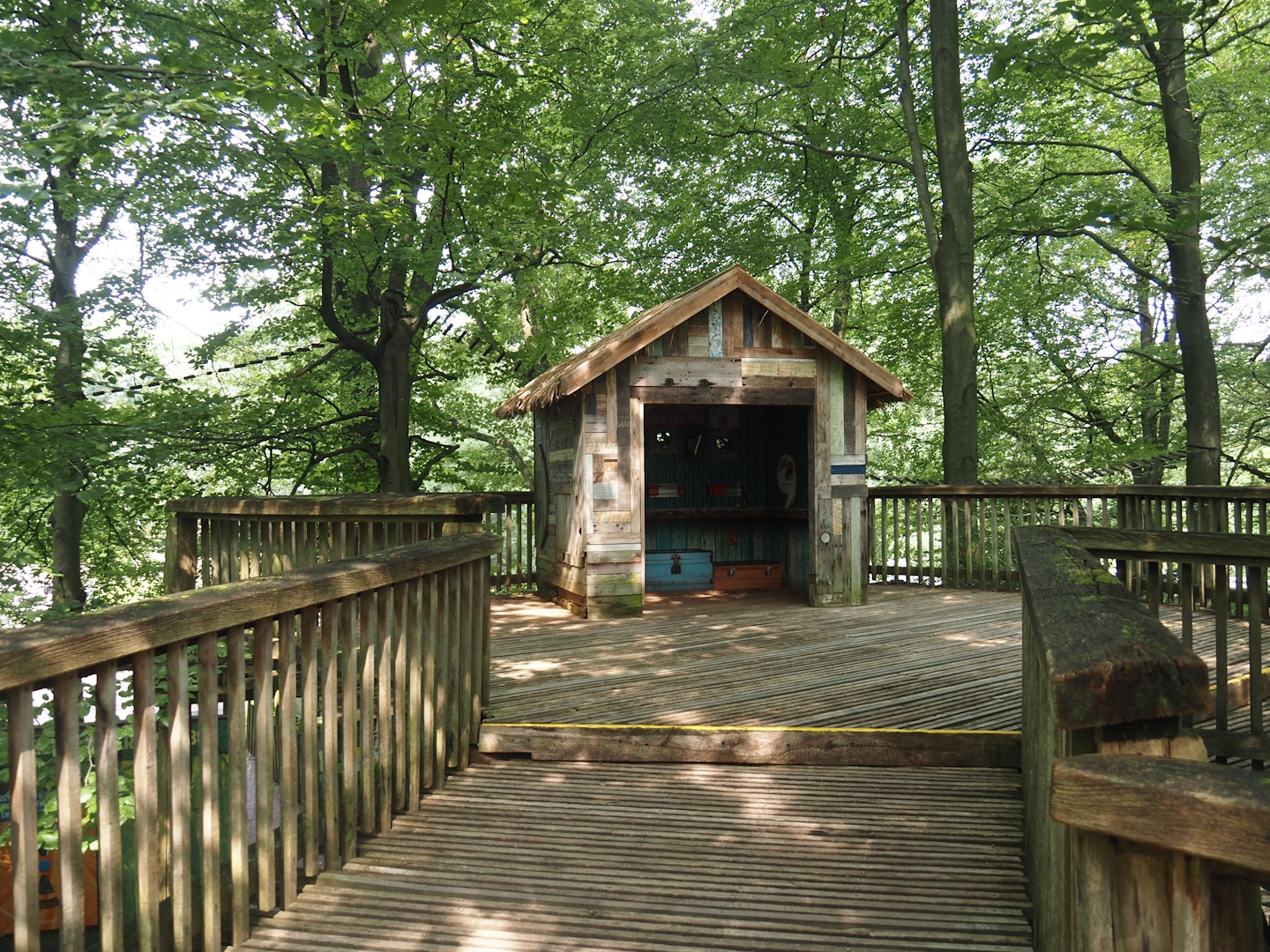 South American monkey walk-through area - Play cabin on the monkey tree-top path, 2024-08-18