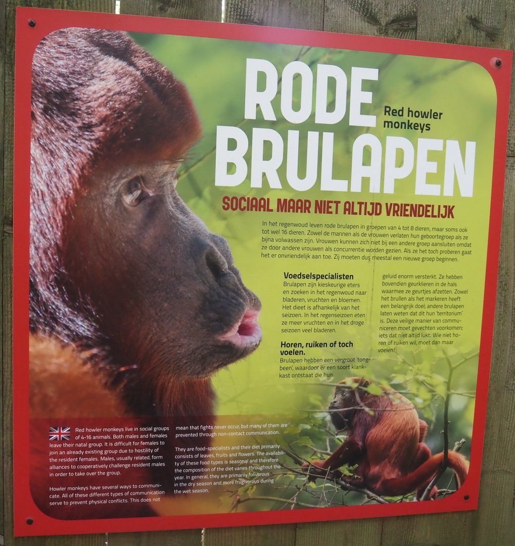 South American monkey walk-through area - Venezuelan red howler monkey signage, 2024-08-18