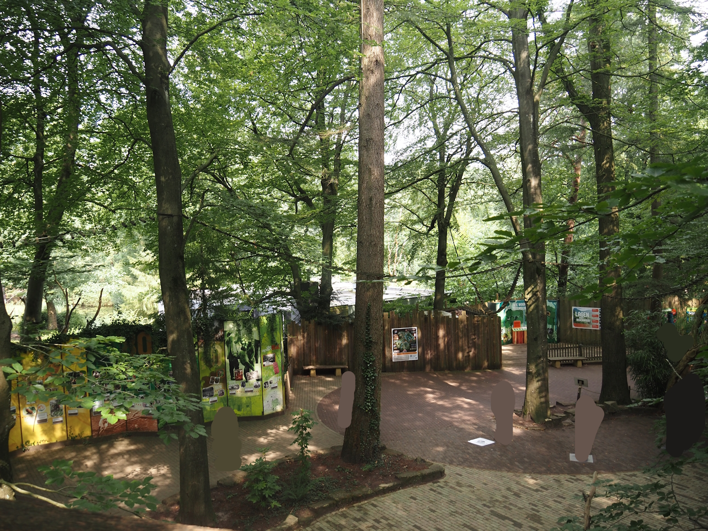 South American monkey walk-through area - View from the Monkey tree-top path, 2024-08-18