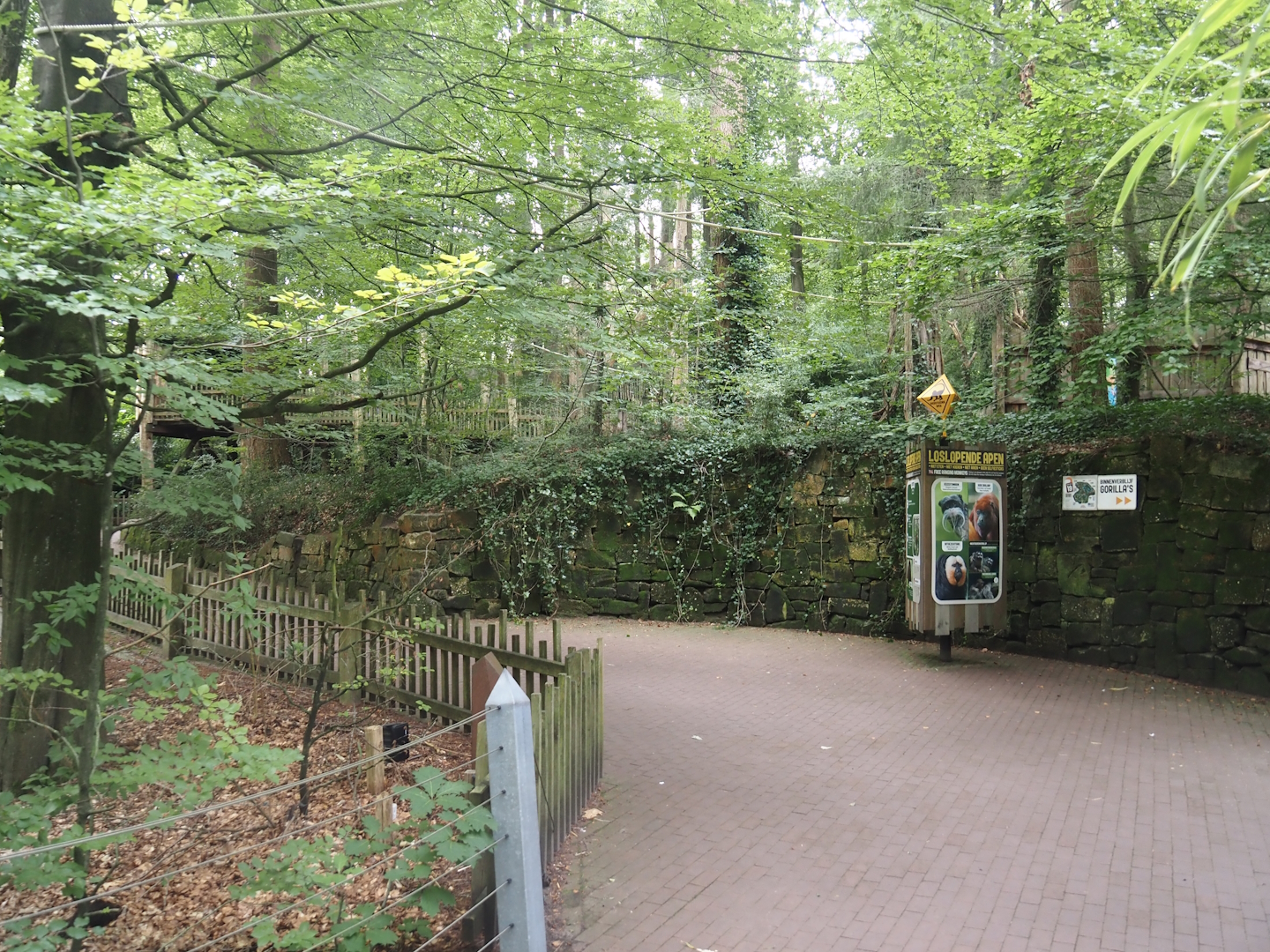 South American monkey walk-through area with the monkey tree-top path, 2024-08-18