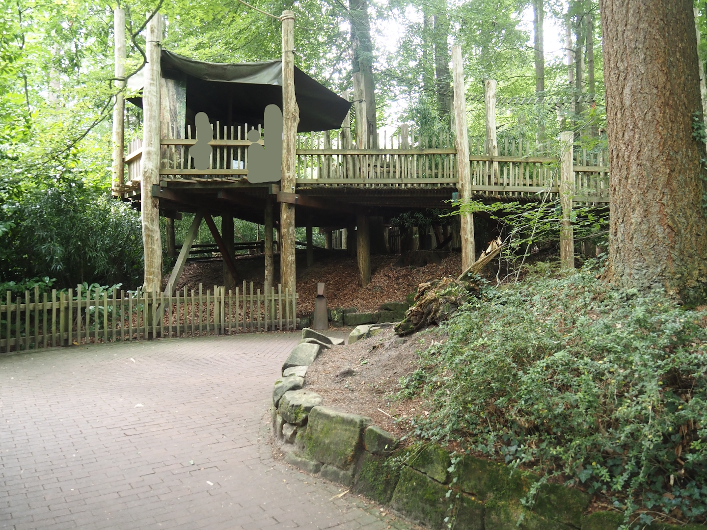 South American monkey walk-through area with the monkey tree-top path, 2024-08-18