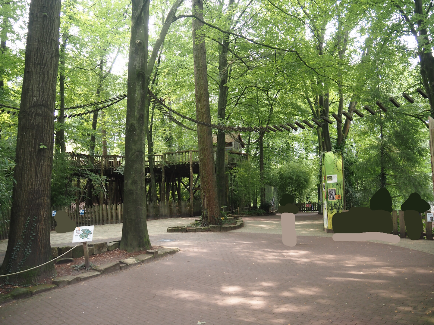 South American monkey walk-through area with the monkey tree-top path, 2024-08-18