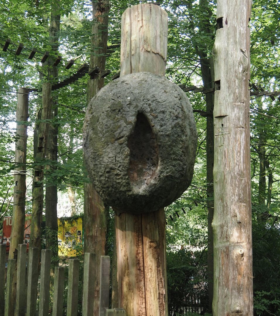 South American monkey walk-through area with the monkey tree-top path - Fake tree termite nest, 2024-08-18
