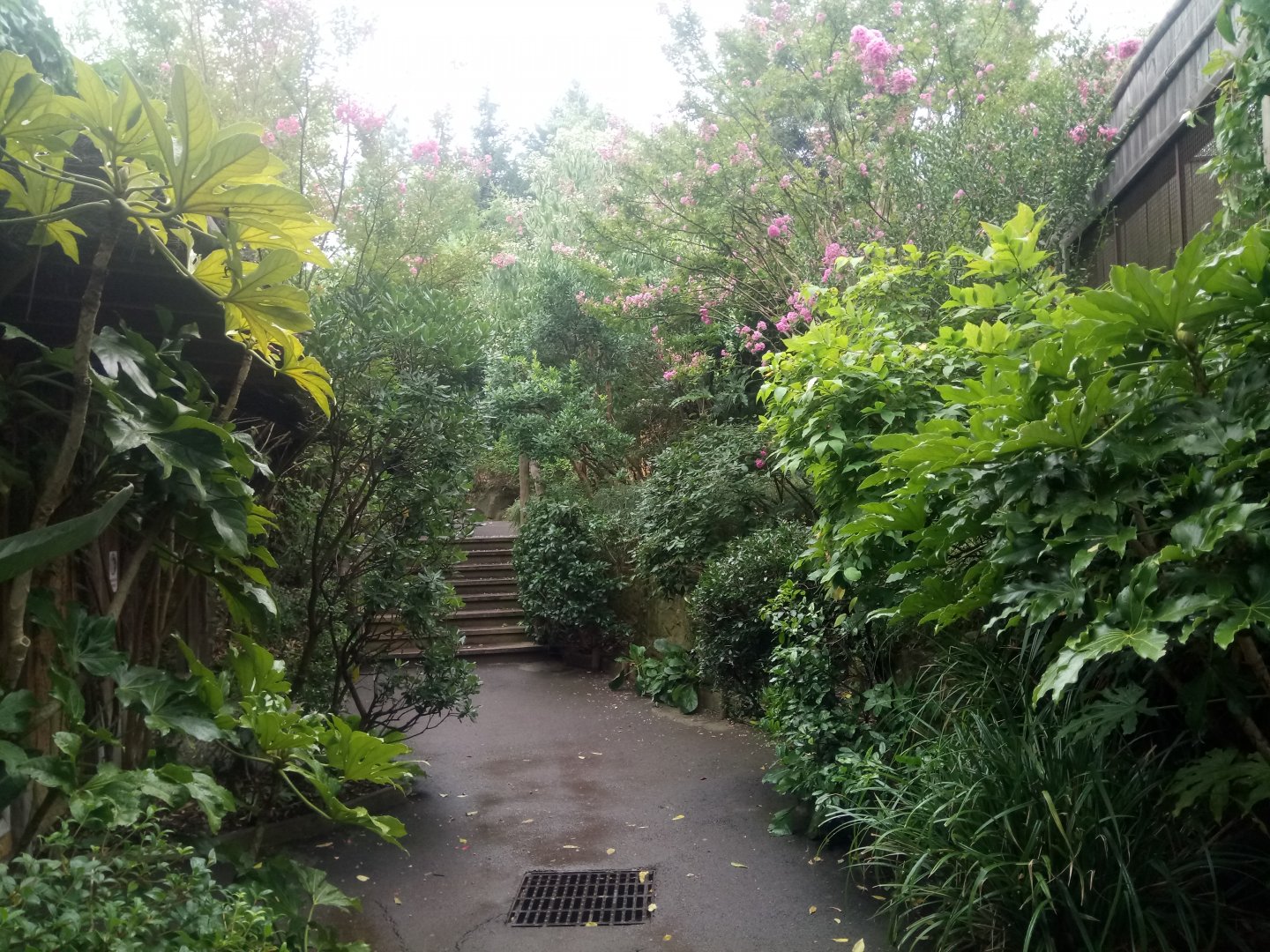 South American Monkeys Area