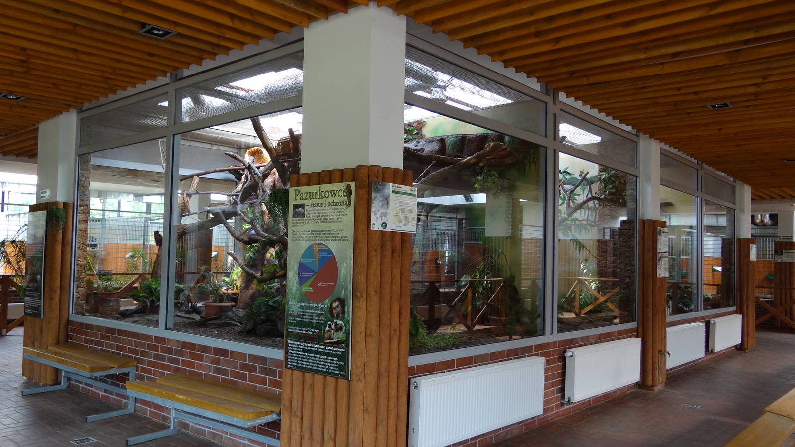 South American monkeys exhibits