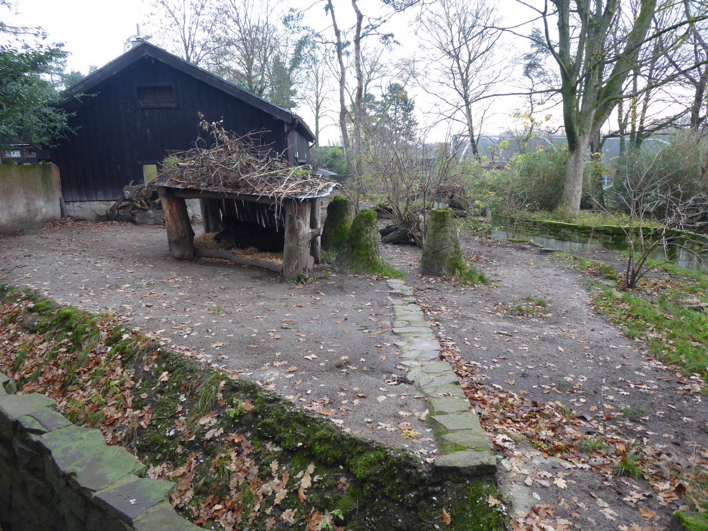 South American paddock 011219