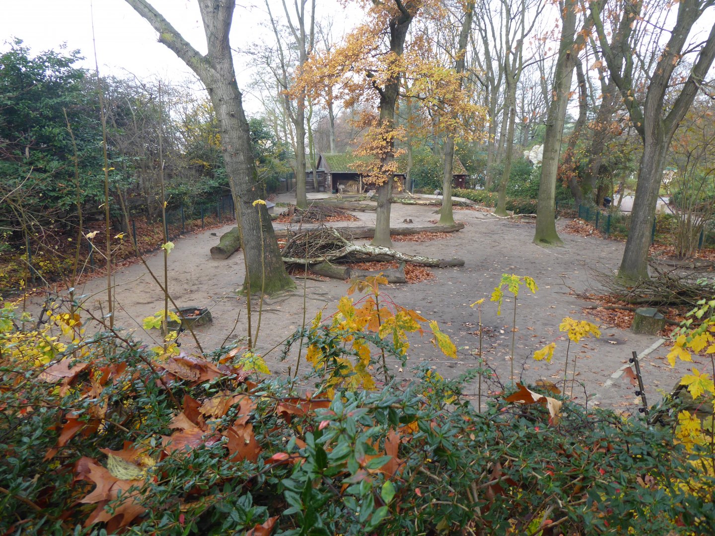 South American paddock 011219