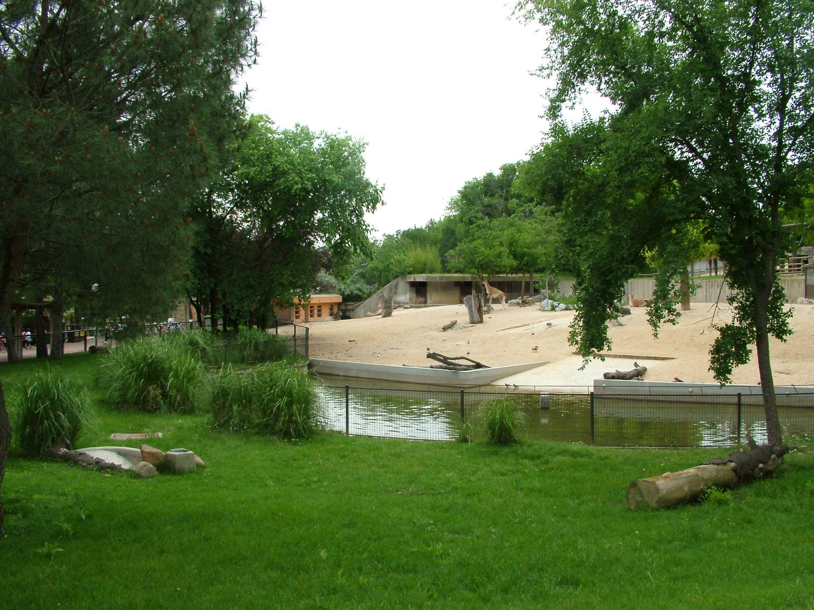 South American Paddock at Madrid Zoo Aquarium, 26/05/11
