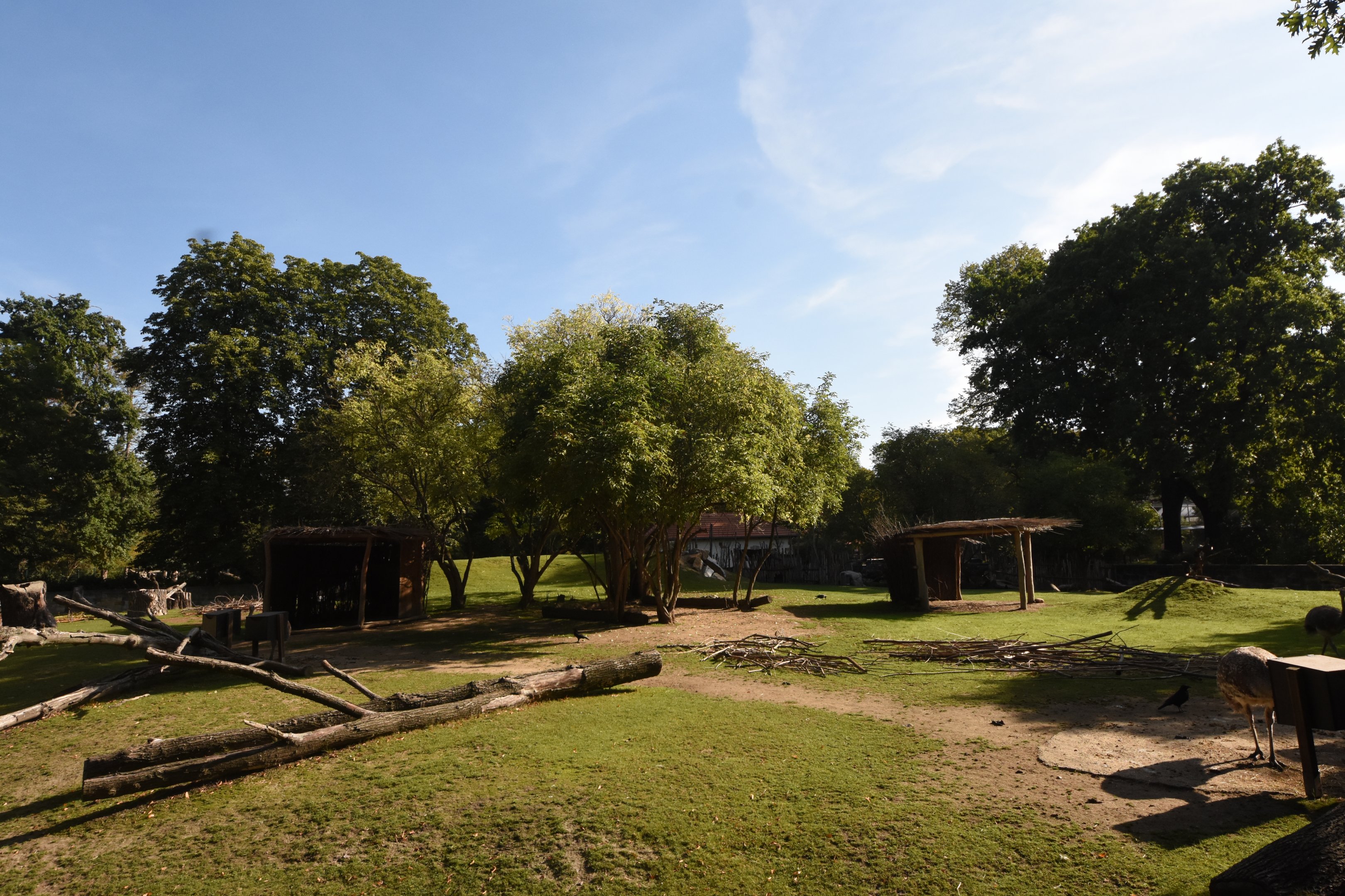 South American paddock