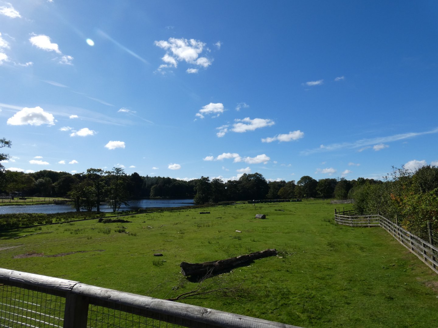 South American paddock