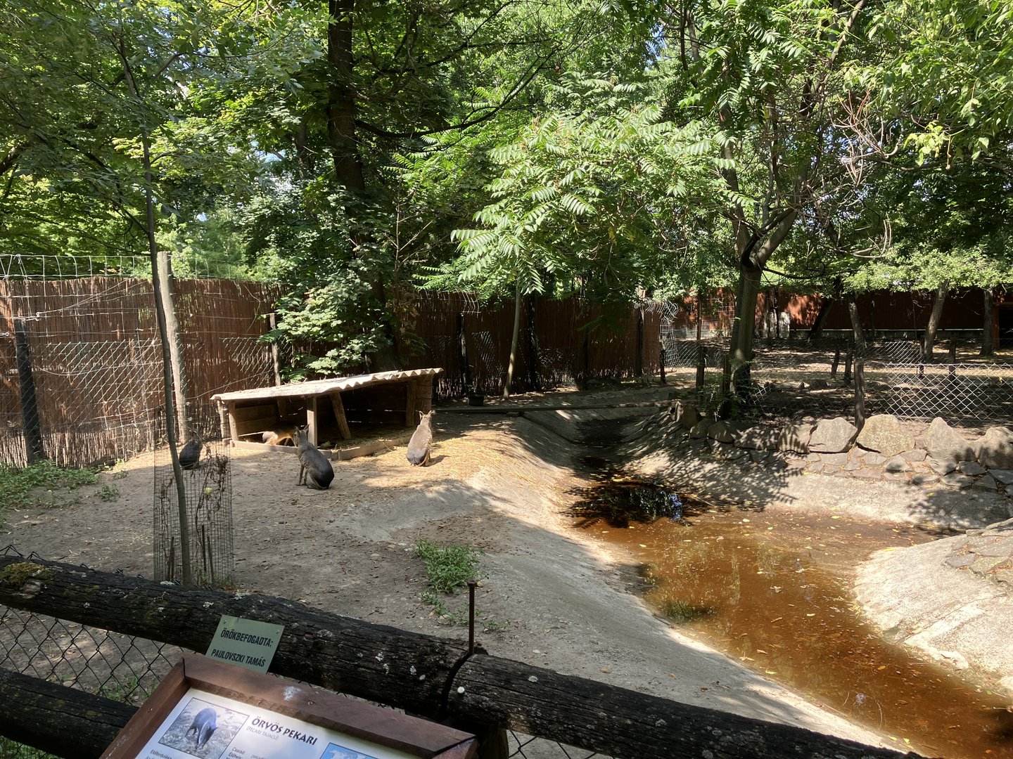 South American paddock