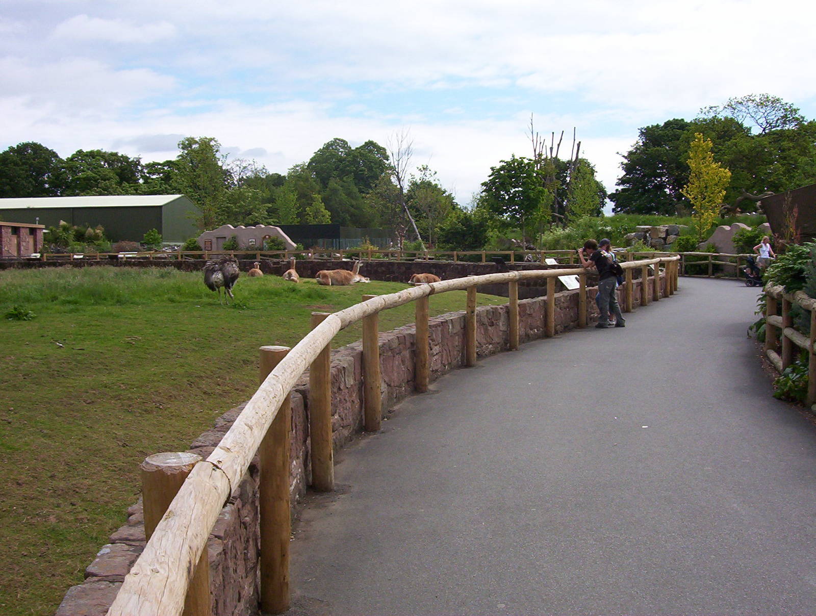 South American paddock
