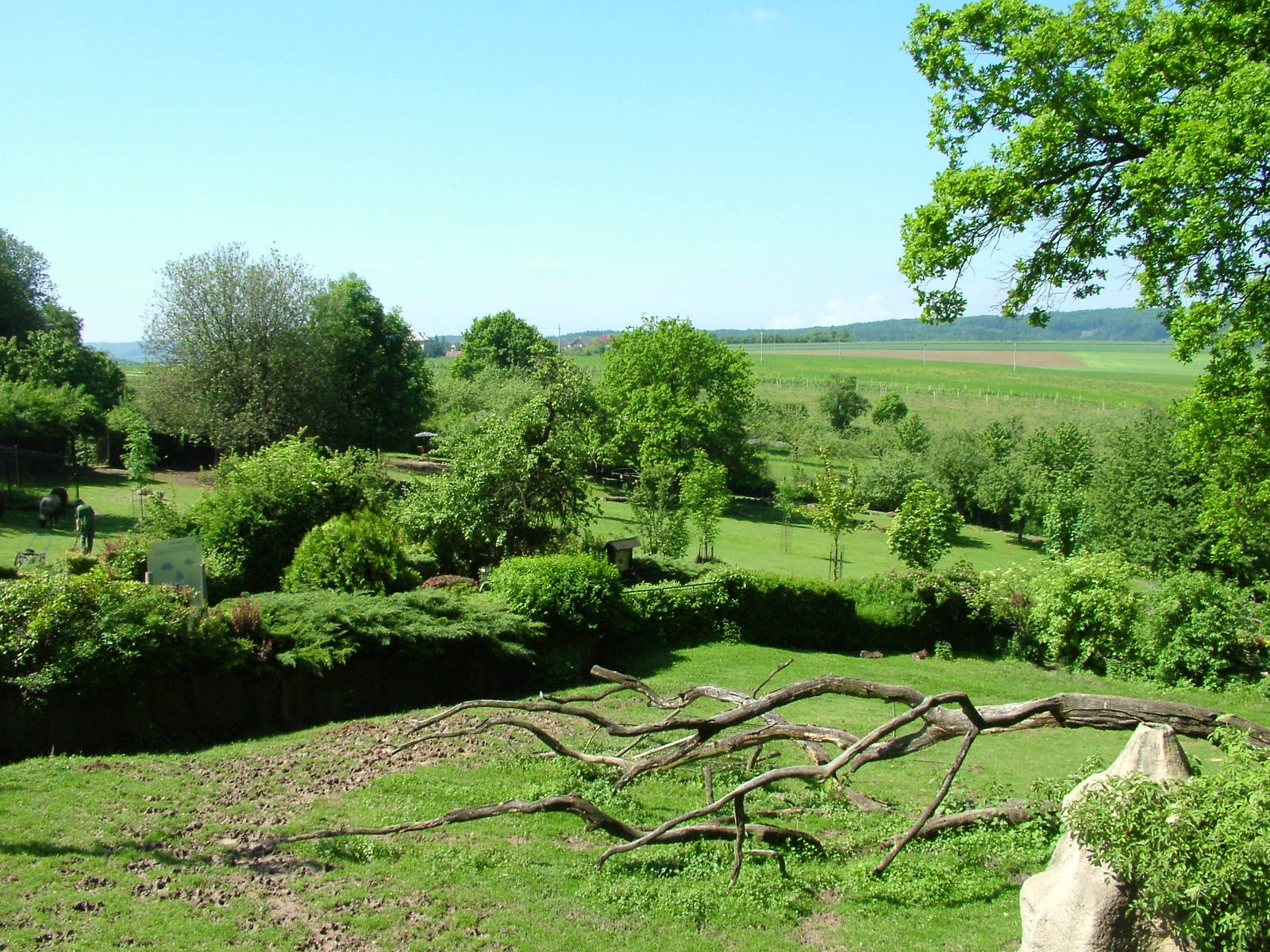 South American paddocks at Zlin, 28/05/10