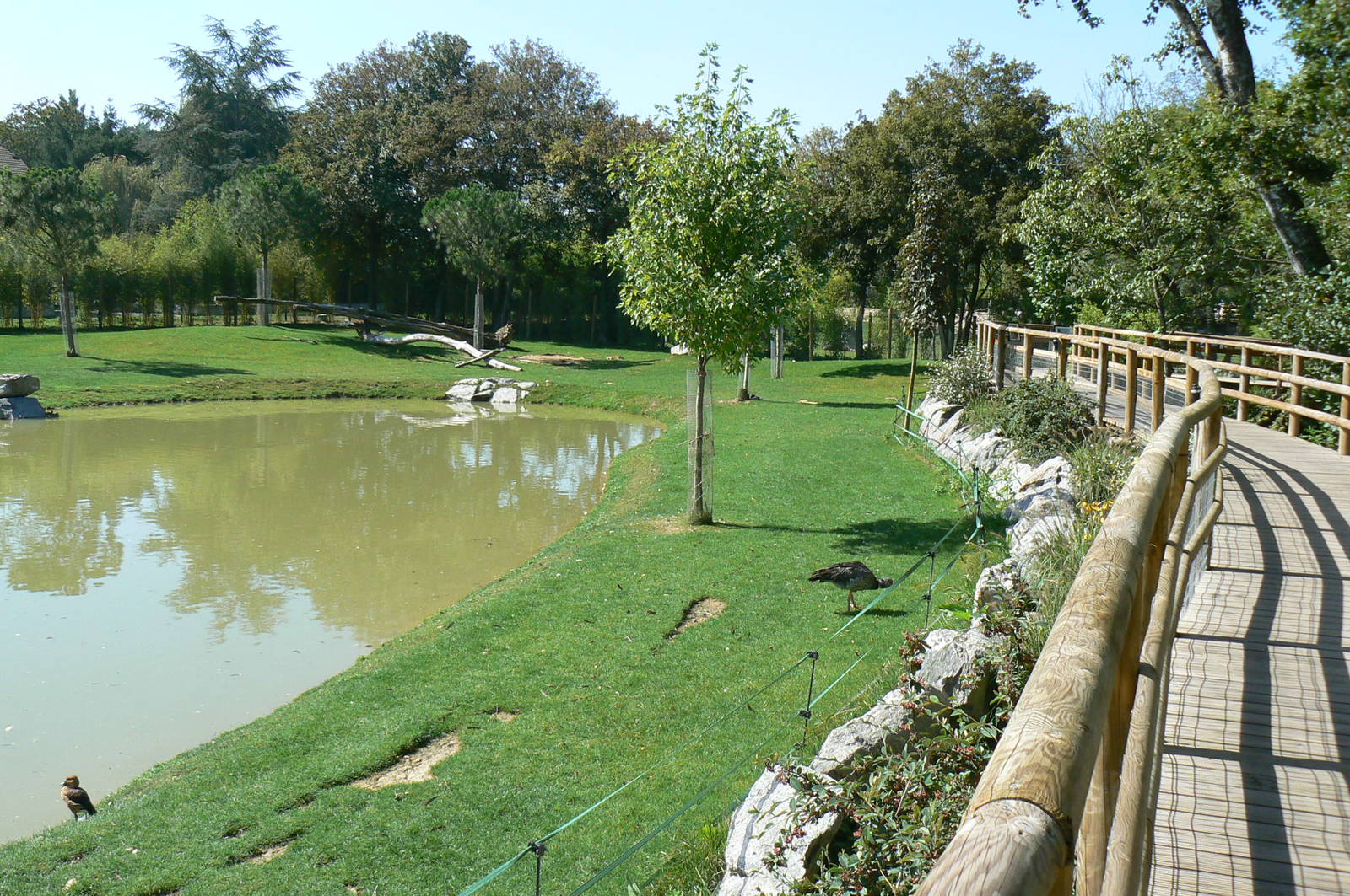 South american pampa exhibit - general views
