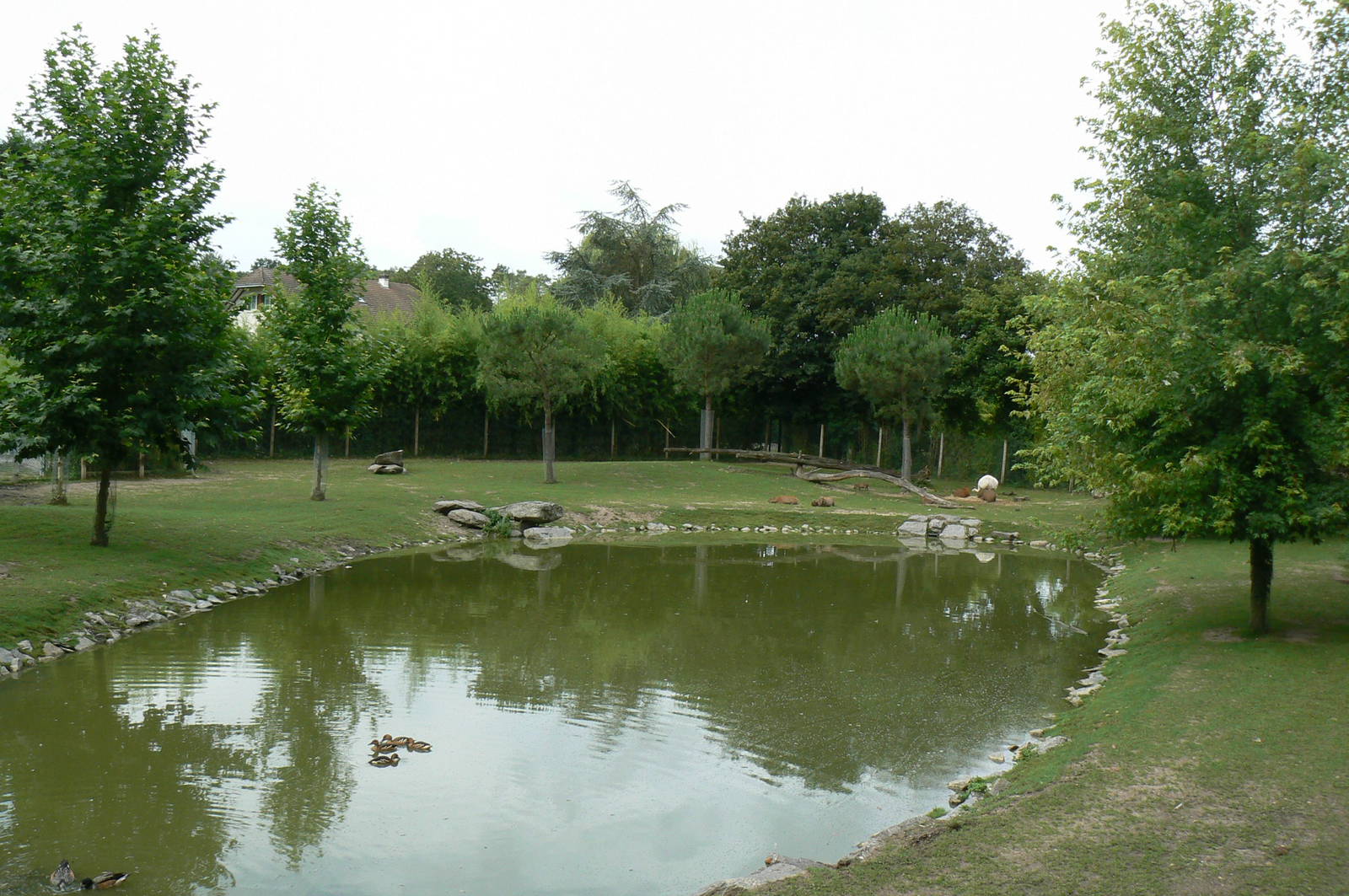 South american pampa exhibit - general views
