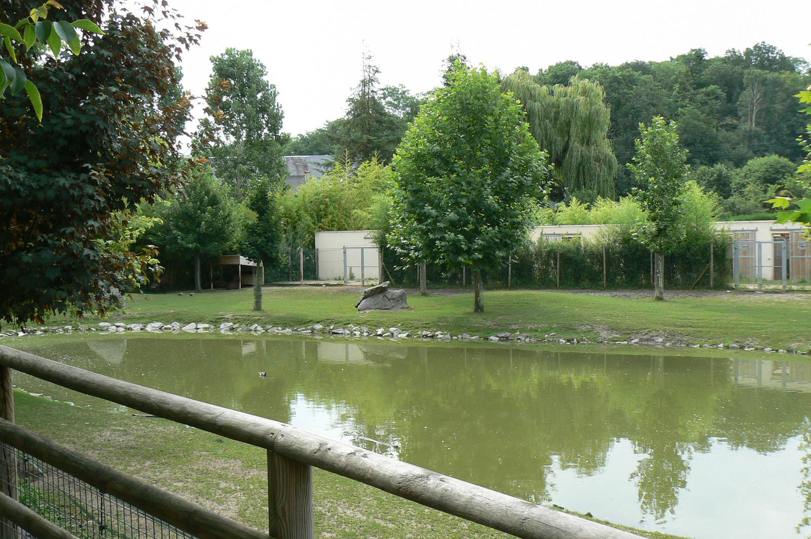 South american pampa exhibit - general views