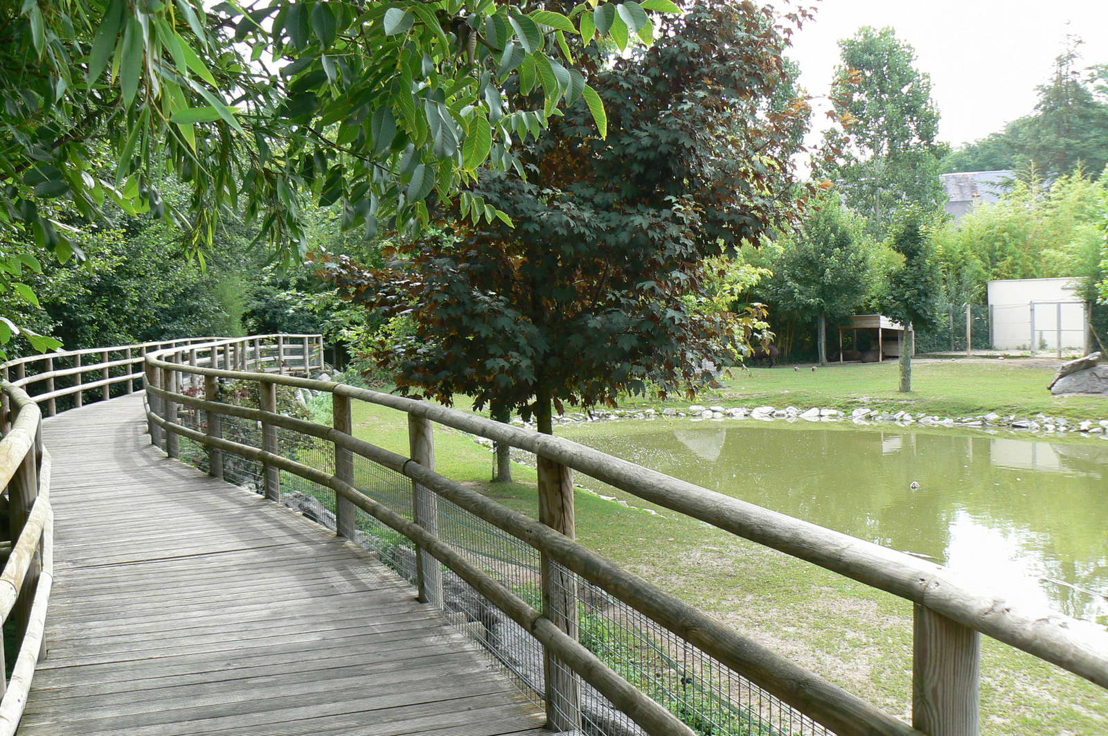 South american pampa exhibit - general views