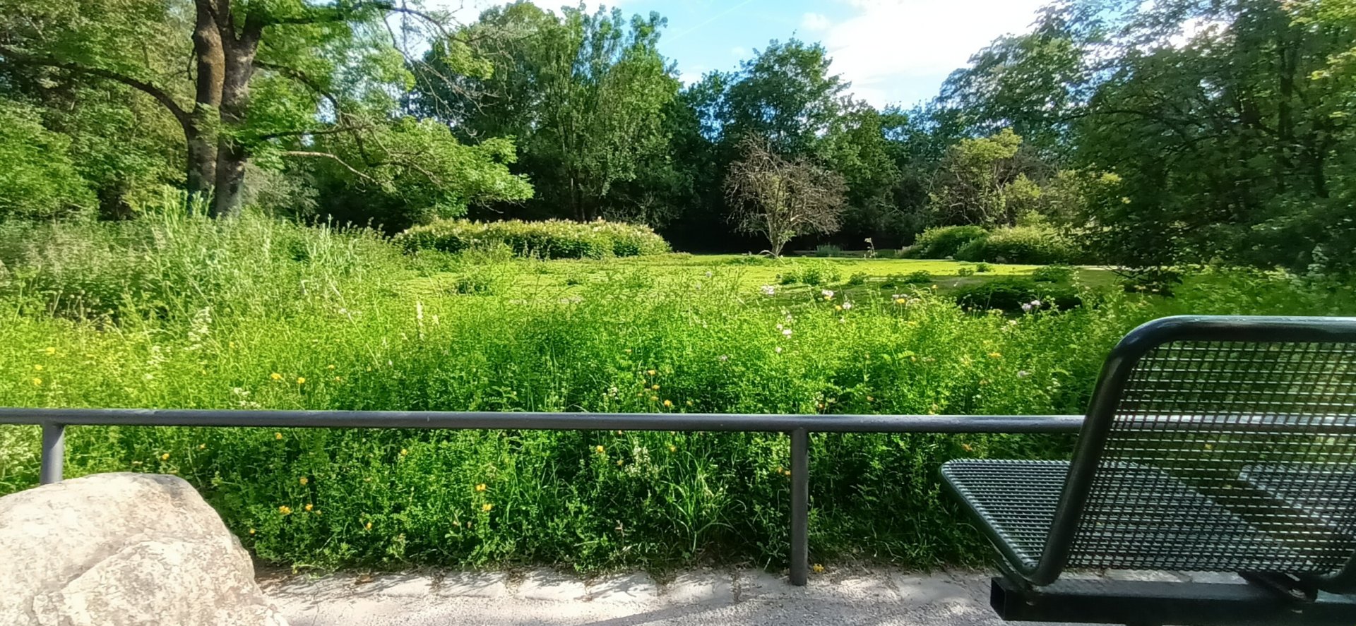 South American Pampas Enclosure