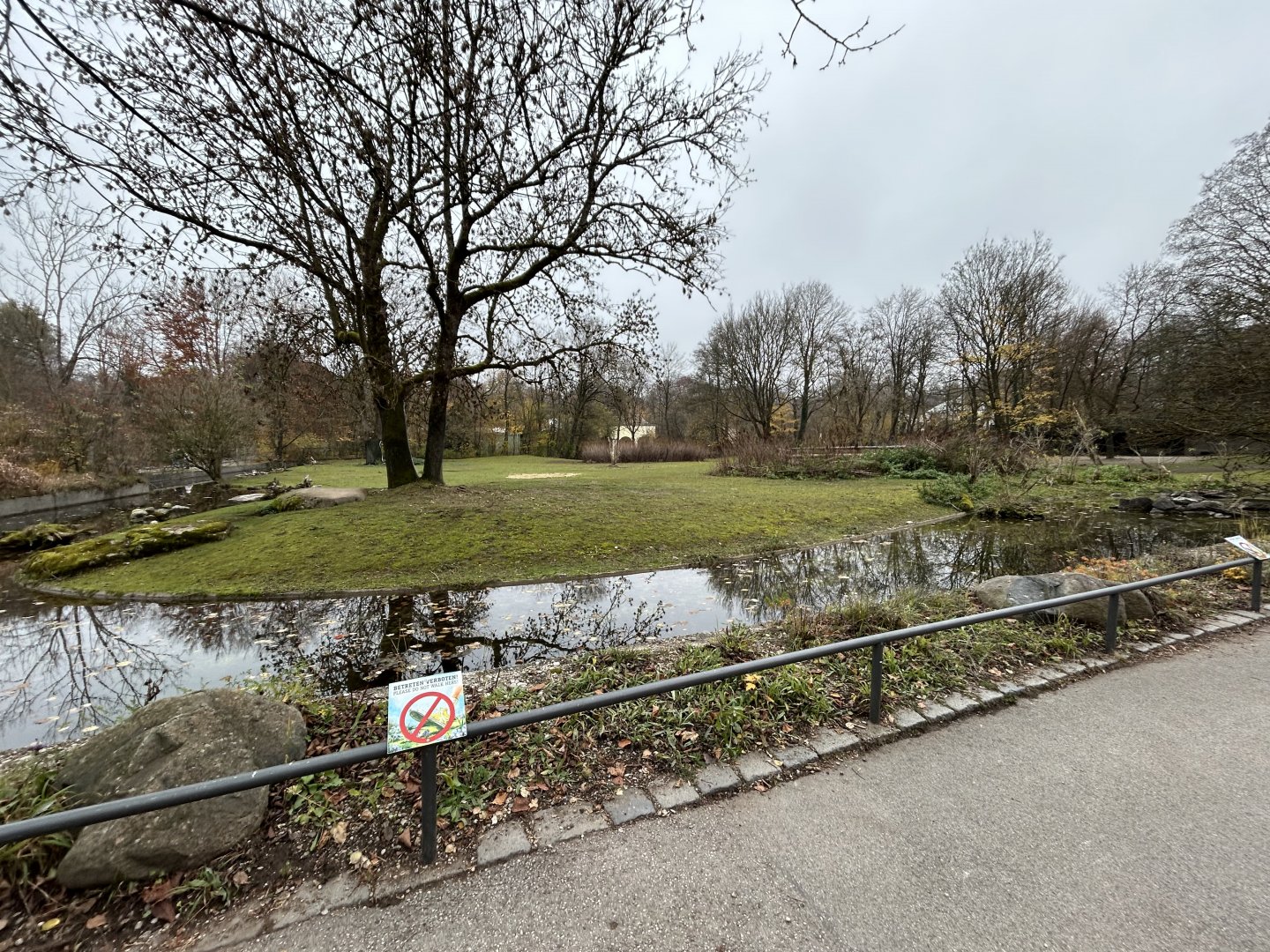 South American Pampas Exhibit (4 species)